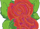 rose 06 - 54x4 jc